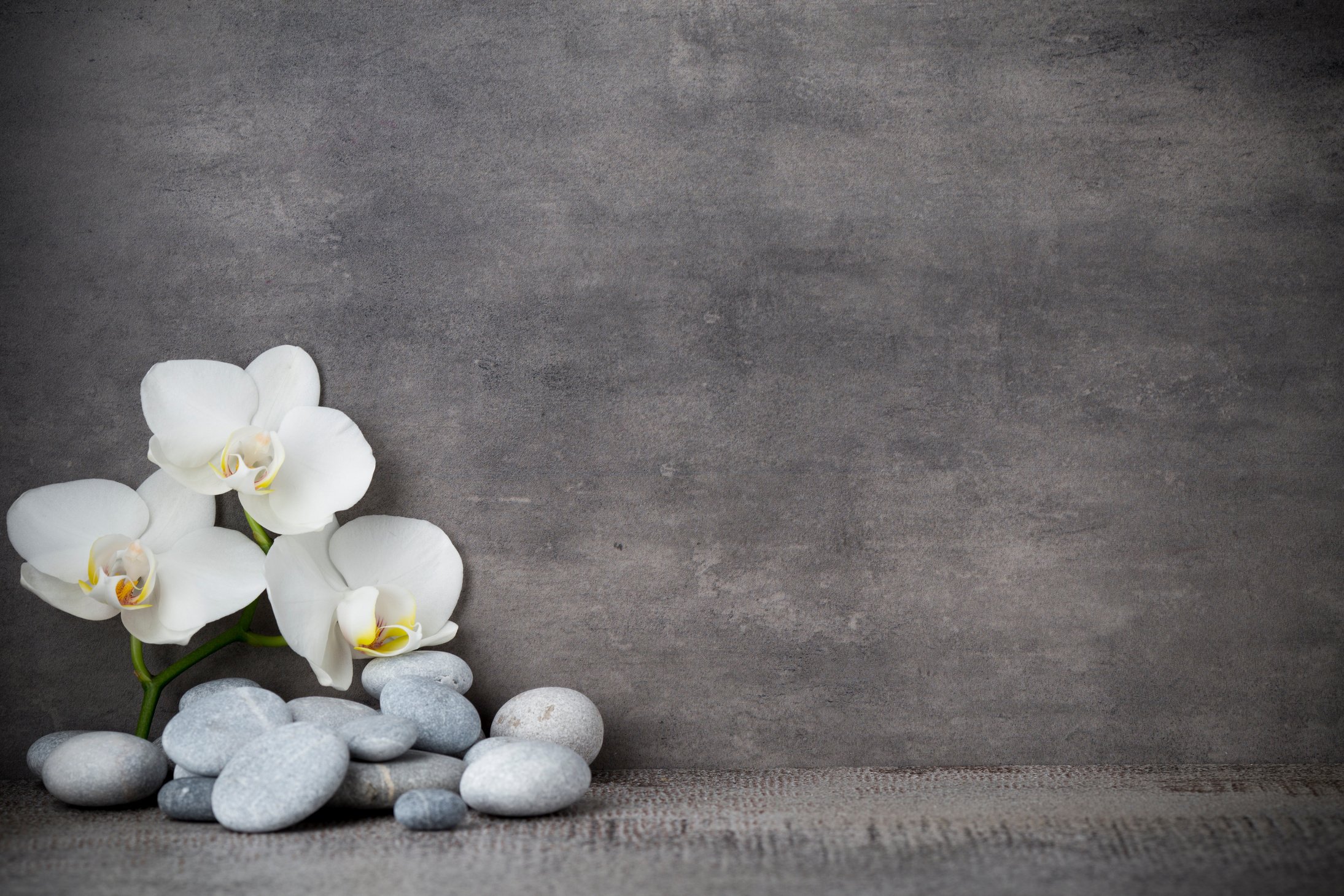 White orchid and spa stones on the grey background.